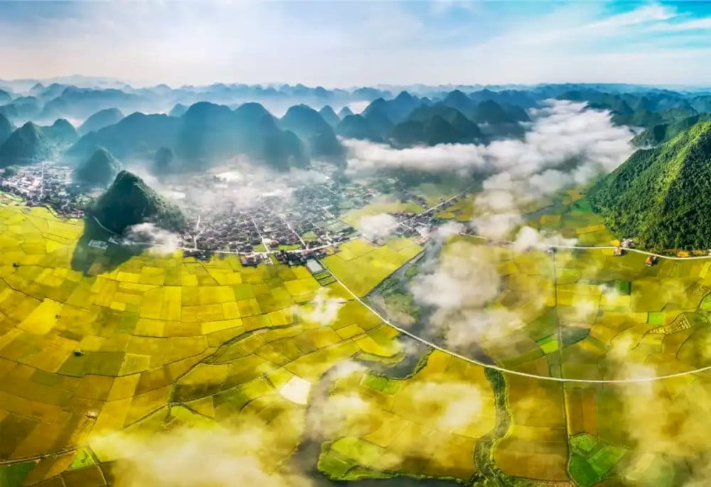 Thời điểm này, Lạng Sơn phủ một màu vàng óng